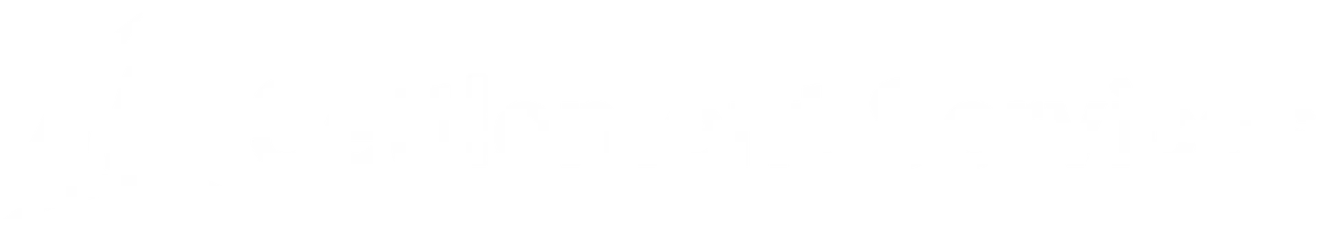 Settlement Services